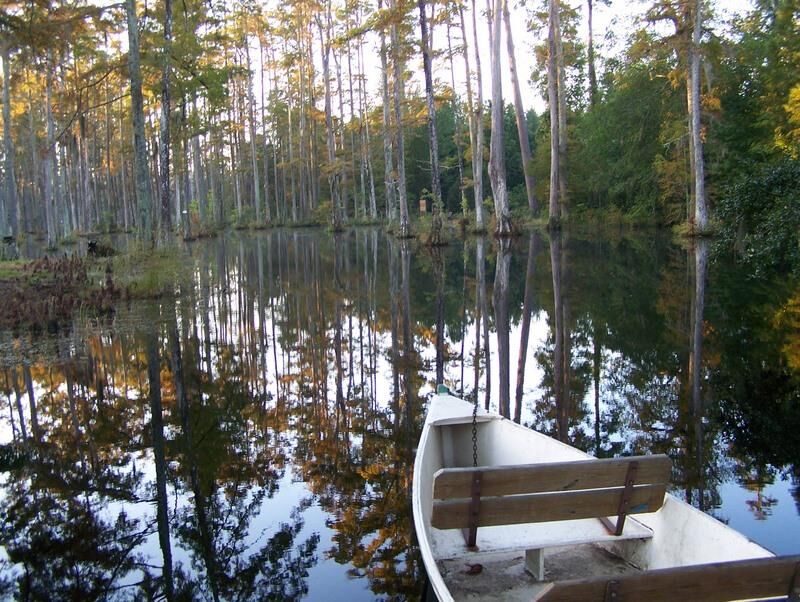 Cypress Gardens